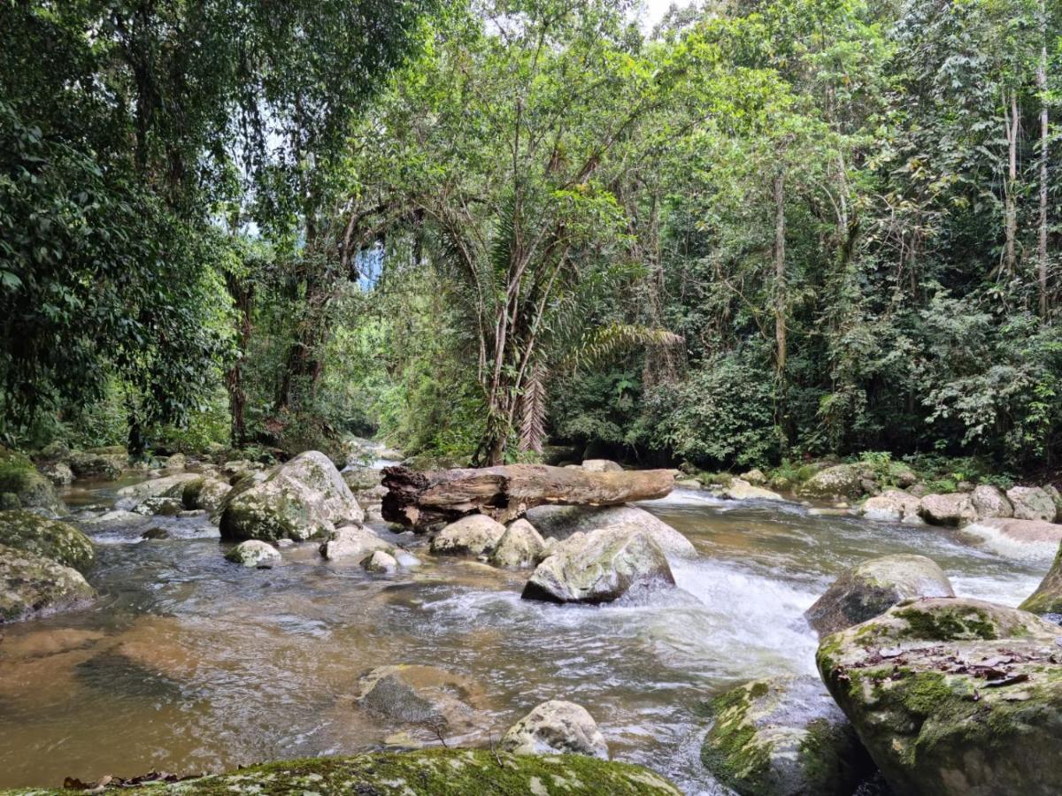 פאראטי Recanto Da Margo 1, Casa Com Acesso A Cachoeira מראה חיצוני תמונה