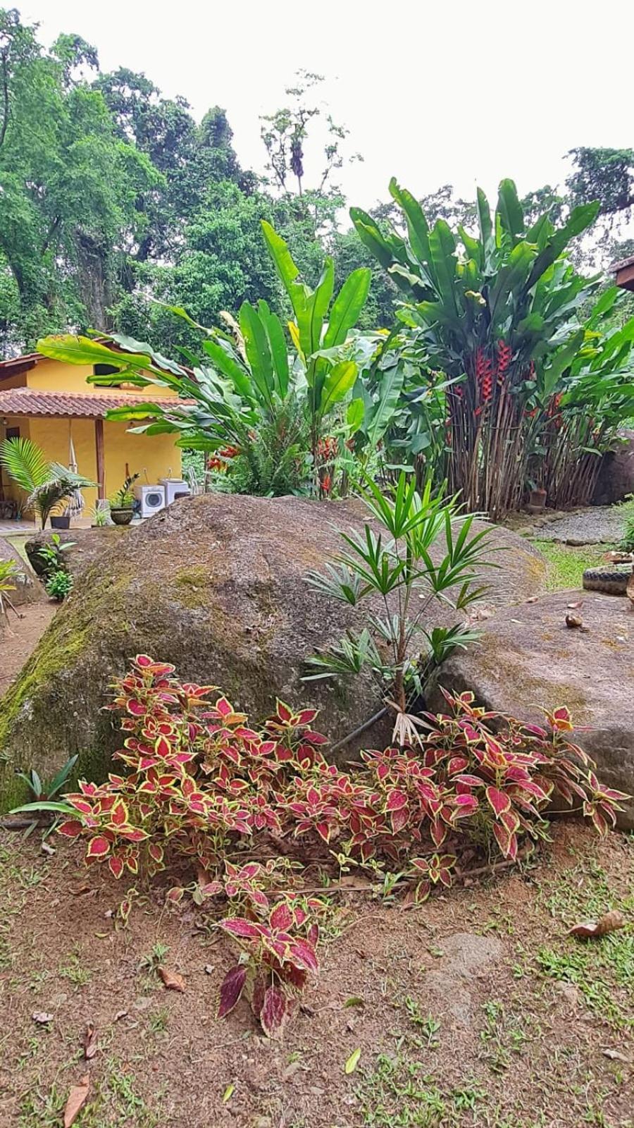 פאראטי Recanto Da Margo 1, Casa Com Acesso A Cachoeira מראה חיצוני תמונה
